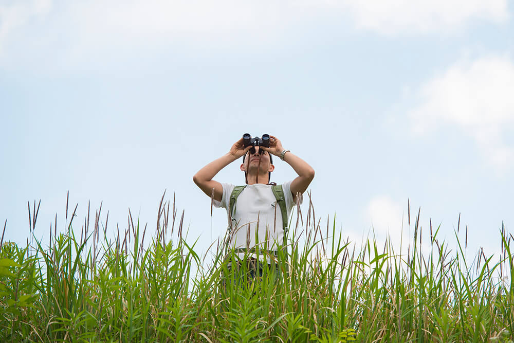 images/insights/2023/man-with-binobulars-in-weeds.jpg