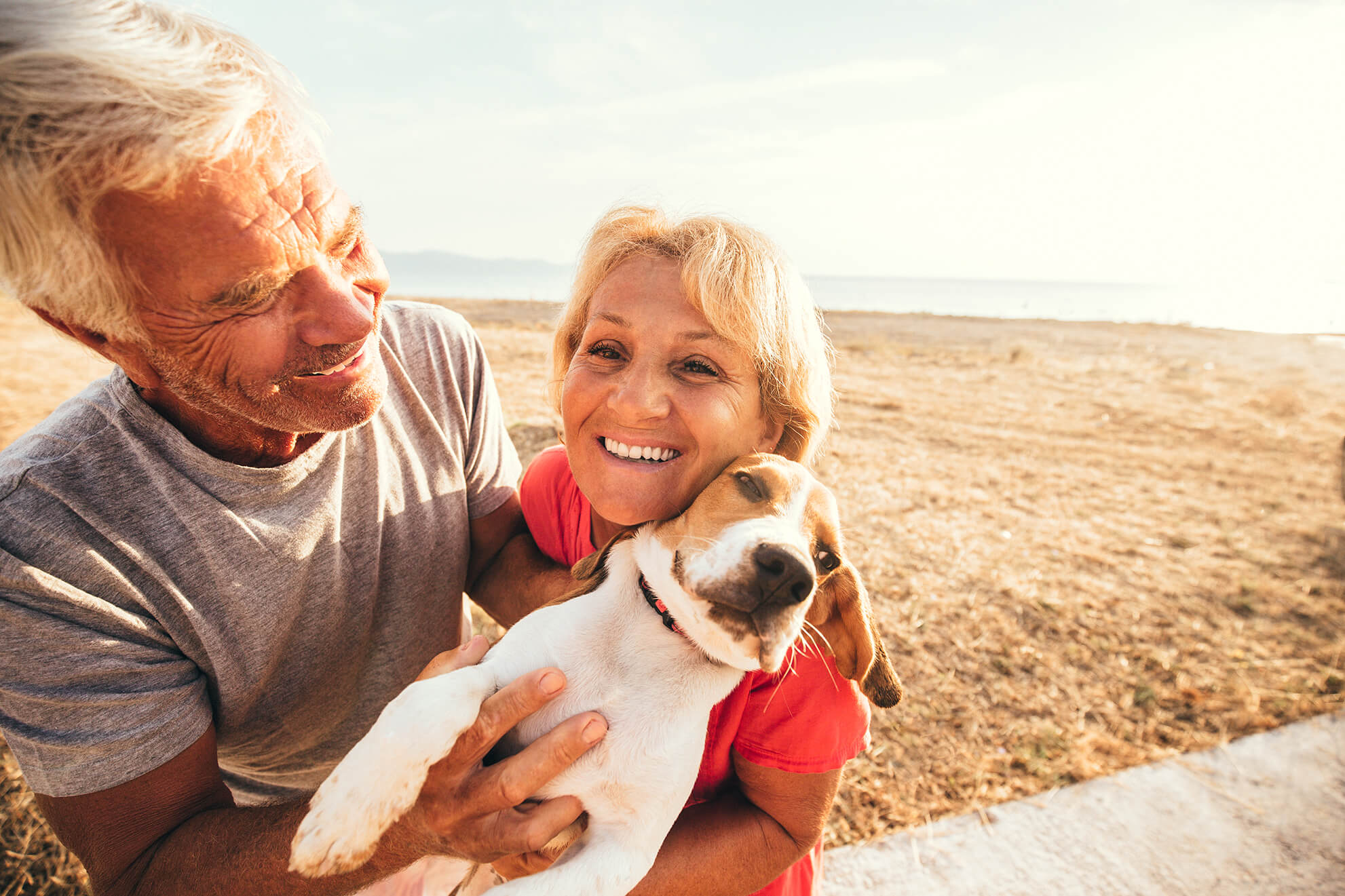 images/insights/2024/mature-couple-at-beach-with-dog.jpg